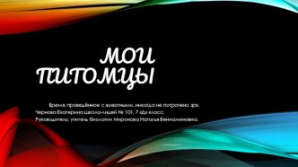 Презентация Мои питомцы