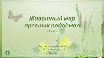 НДМ Животный мир пресных водоёмов