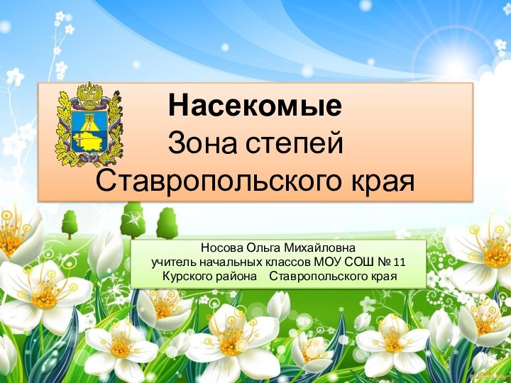 Насекомые  Зона степей  Ставропольского краяНосова Ольга Михайловнаучитель начальных классов МОУ