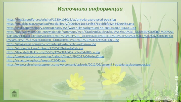 https://img2.goodfon.ru/original/1920x1080/5/cc/priroda-ozero-prud-poda.jpghttps://magicbazaar.ru/upload/medialibrary/b06/b0610b334f867beebfbfe624240a646e.pnghttps://wallpapermemory.com/uploads/354/water-lily-background-hd-2880x1800-366181.jpghttps://upload.wikimedia.org/wikipedia/commons/c/c3/%D0%9B%D1%96%D1%82%D0%BE_%D0%BD%D0%B0_%D0%A1%D1%82%D0%BE%D1%85%D0%BE%D0%B4%D1%96._%D0%96%D0%BE%D0%B2%D1%82%D0%B0_%D0%B2%D0%BE%D0%B4%D1%8F%D0%BD%D0%B0_%D0%BB%D1%96%D0%BB%D1%96%D1%8F..jpghttps://prokamen.com/wp-content/uploads/cvety-vodokrasa.jpghttps://storge.pic2.me/upload/273/5259e9ea8a2eb.jpghttps://live.staticflickr.com/65535/32673816467_c1e764c886_o.jpghttp://ogorodsadovod.com/sites/default/files/u79/2017/04/rdest2.jpghttp://ais.agro.ws/photo/weeds/22040.jpghttps://www.sofreshandsogreen.com/wp-content/uploads/2011/02/screen33-austria-sablatnigmoor.jpgИсточники информации: