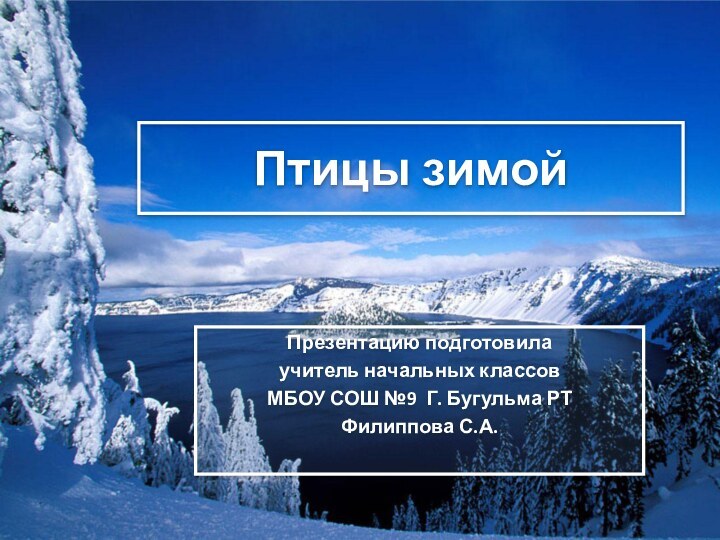 Птицы зимойПрезентацию подготовилаучитель начальных классовМБОУ СОШ №9 Г. Бугульма РТФилиппова С.А.