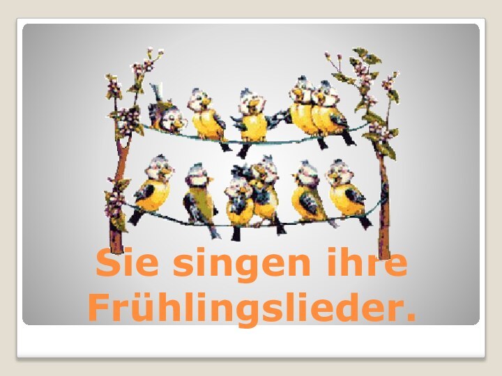 Sie singen ihre Frühlingslieder.