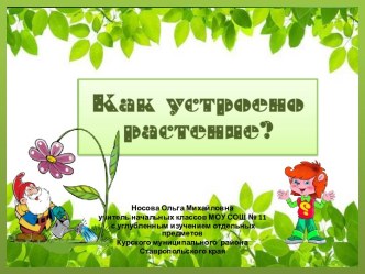 Почемучка Как устроено растение?