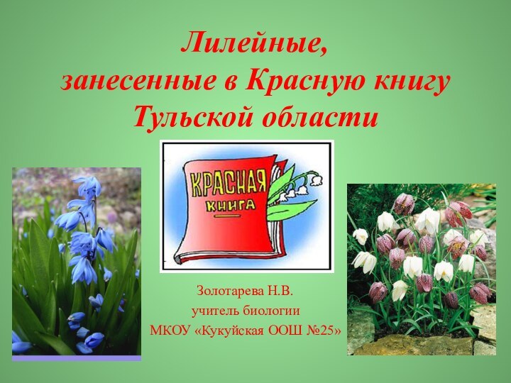 Лилейные,  занесенные в Красную книгу  Тульской областиЗолотарева Н.В.учитель биологииМКОУ «Кукуйская ООШ №25»