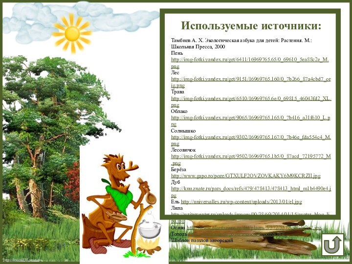 Используемые источники:Тамбиев А. Х. Экологическая азбука для детей: Растения. М.: Школьная Пресса,