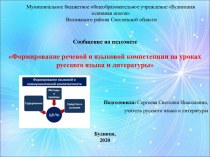 Формирование речевой и языковой компетенции на уроках  русского языка и литературы