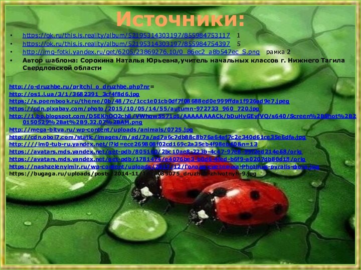Источники:https://ok.ru/this.is.reality/album/52195314303197/855984753117  1https://ok.ru/this.is.reality/album/52195314303197/855984754397  5http://img-fotki.yandex.ru/get/6205/23869276.10/0_86ec2_a8b547ec_S.png  рамка 2Автор шаблона: Сорокина Наталья Юрьевна,учитель