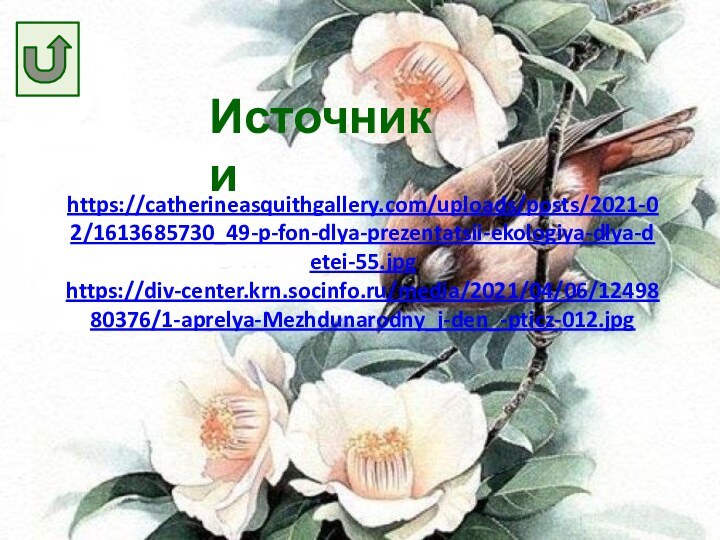 Источники https://catherineasquithgallery.com/uploads/posts/2021-02/1613685730_49-p-fon-dlya-prezentatsii-ekologiya-dlya-detei-55.jpghttps://div-center.krn.socinfo.ru/media/2021/04/06/1249880376/1-aprelya-Mezhdunarodny_j-den_-pticz-012.jpg