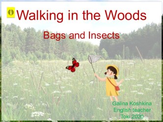 Презентация к уроку Walking in the Woods