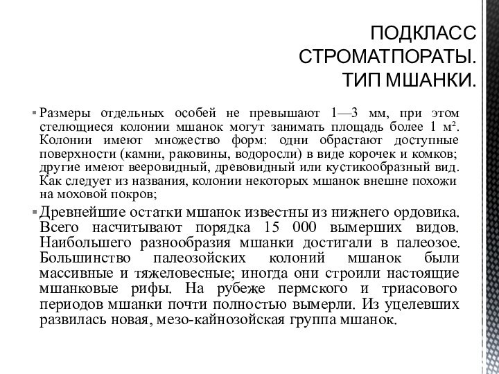 Размеры отдельных особей не превышают 1—3 мм, при этом стелющиеся колонии мшанок