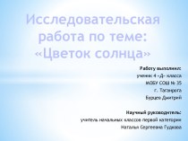 Исследовательская работа по теме Цветок Солнца