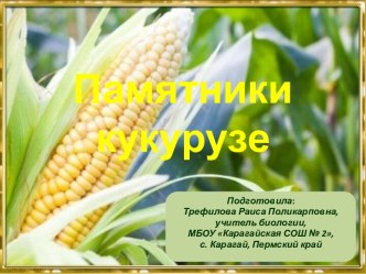 Презентация Памятники кукурузе