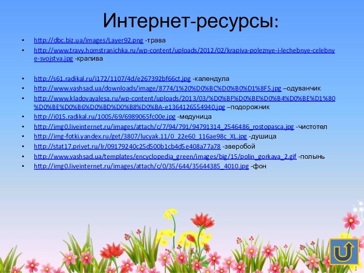 Интернет-ресурсы:http://dbc.biz.ua/images/Layer92.png -траваhttp://www.travy.homstranichka.ru/wp-content/uploads/2012/02/krapiva-poleznye-i-lechebnye-celebnye-svojstva.jpg -крапиваhttp://s61.radikal.ru/i172/1107/4d/e267392bf66ct.jpg -календулаhttp://www.vashsad.ua/downloads/image/8774/1%20%D0%BC%D0%B0%D1%8F5.jpg –одуванчикhttp://www.kladovayalesa.ru/wp-content/uploads/2013/03/%D0%BF%D0%BE%D0%B4%D0%BE%D1%80%D0%BE%D0%B6%D0%BD%D0%B8%D0%BA-e1364126554940.jpg –подорожникhttp://i015.radikal.ru/1005/69/6989065fc00e.jpg -медуницаhttp://img0.liveinternet.ru/images/attach/c/7/94/791/94791314_2546486_rostopasca.jpg -чистотелhttp://img-fotki.yandex.ru/get/3807/lucyak.11/0_22e60_116ae98c_XL.jpg -душицаhttp://stat17.privet.ru/lr/09179240c25d500b1cb4d5e408a77a78 -зверобойhttp://www.vashsad.ua/templates/encyclopedia_green/images/big/15/polin_gorkaya_2.gif -полыньhttp://img0.liveinternet.ru/images/attach/c/0/35/644/35644385_4010.jpg -фон