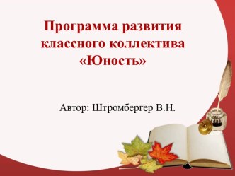 Программа развития классного коллектива Юность