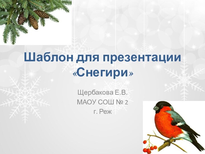 Шаблон для презентации «Снегири»Щербакова Е.В.МАОУ СОШ № 2г. Реж