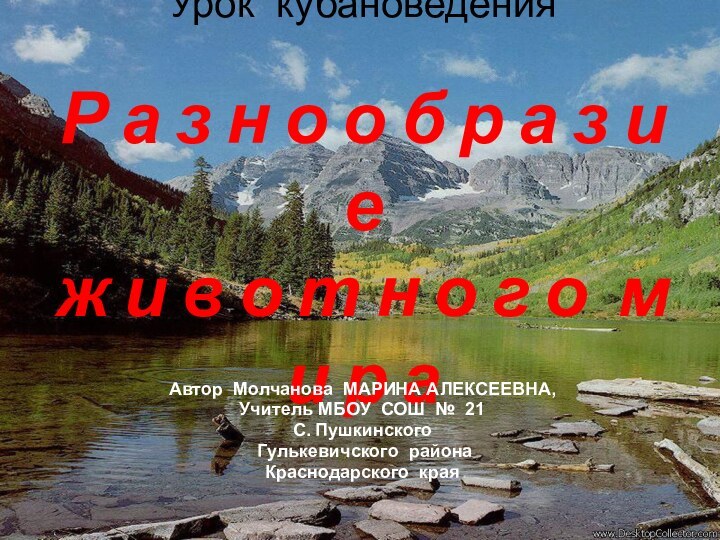 Урок кубановедения  Р а з н о о б р а