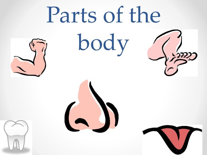 Parts of the body