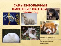 Самые необычные животные