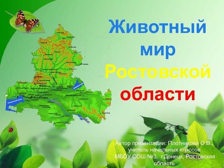 Животный мир Ростовской областиАвтор презентации: Плотникова О.В., учитель начальных классов МБОУ СОШ №3, г.Донецк, Ростовская область