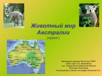 Животный мир Австралии (проект)