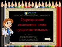 Интерактивный тренажёр Определение склонения  имён  существительных