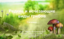 НДМ Редкие и исчезающие виды грибов