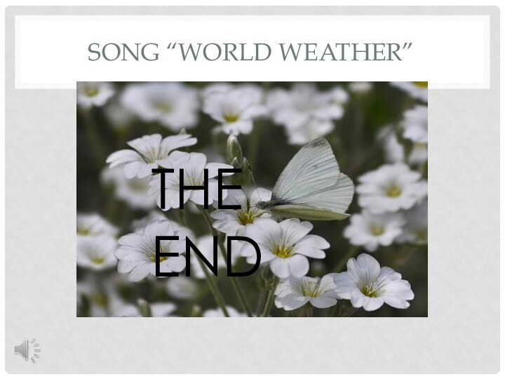 Song “World Weather”          THE END