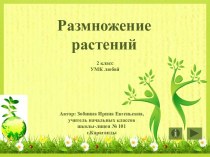 Размножение растений