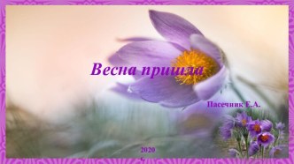 Шаблоны для презентаций Весна пришла