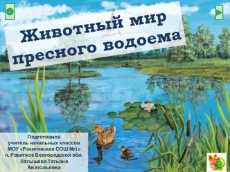 Наглядно-демонстрационный материал Животный мир пресного водоема