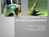 Проект Хитрости маскировки