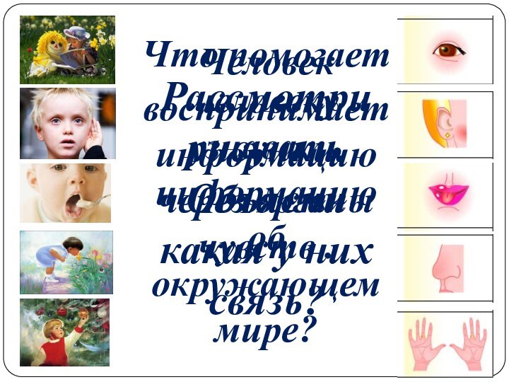 Рассмотри рисунки. Объясни какая у них связь?Что помогает человеку узнавать информацию об