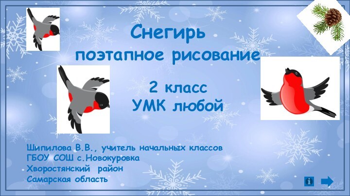 Снегирьпоэтапное рисование2 классУМК любойШипилова В.В., учитель начальных классов