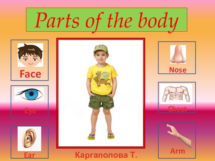 Parts of the bodyFaceТекст надписиEye  EarNoseChestArmКаргаполова Т.М.