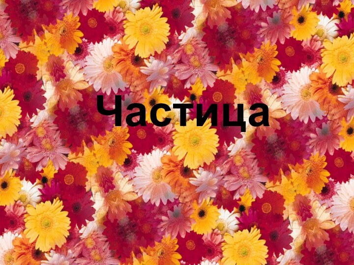 Частица