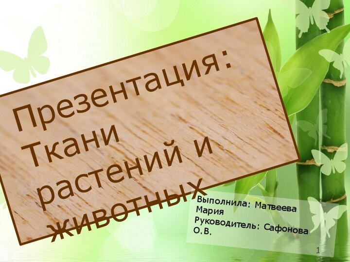 Презентация:Ткани растений и  животныхВыполнила: Матвеева МарияРуководитель: Сафонова О.В.