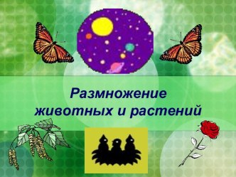 Размножение животных и растений 5 класс