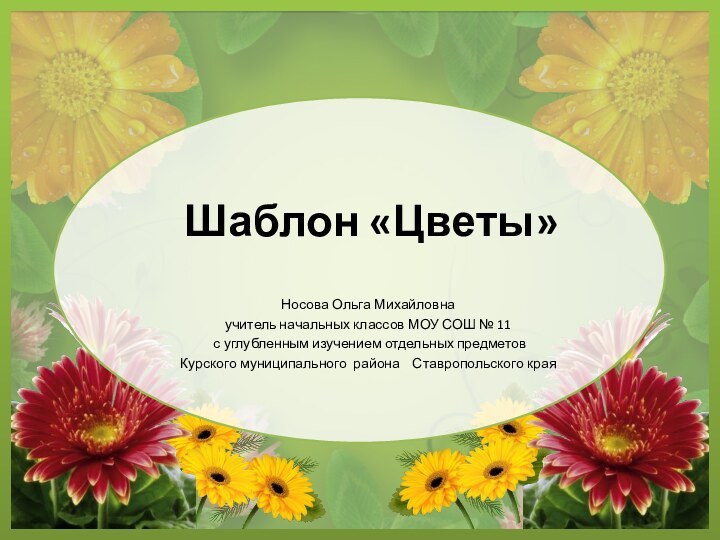 Шаблон «Цветы»Носова Ольга Михайловнаучитель начальных классов МОУ СОШ № 11 с углубленным