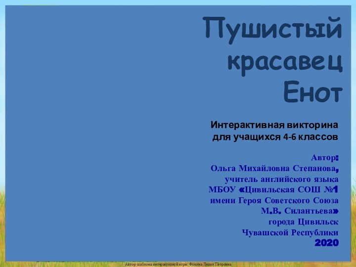 Пушистый красавец ЕнотАвтор:Ольга Михайловна Степанова,