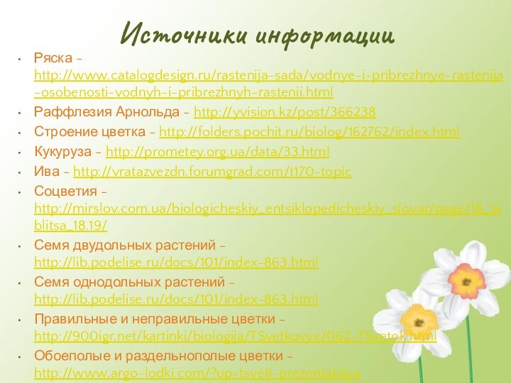 Источники информацииРяска - http://www.catalogdesign.ru/rastenija-sada/vodnye-i-pribrezhnye-rastenija-osobenosti-vodnyh-i-pribrezhnyh-rastenii.htmlРаффлезия Арнольда - http://yvision.kz/post/366238Строение цветка - http://folders.pochit.ru/biolog/162762/index.htmlКукуруза - http://prometey.org.ua/data/33.htmlИва