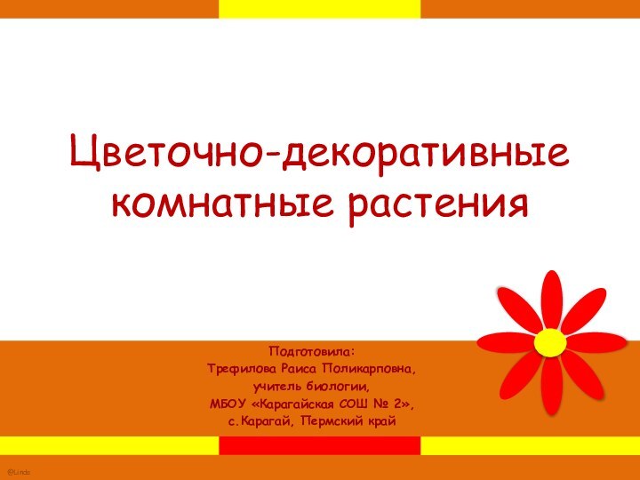 Цветочно-декоративные комнатные растенияПодготовила:Трефилова Раиса Поликарповна,учитель биологии,МБОУ «Карагайская СОШ № 2»,с.Карагай, Пермский край