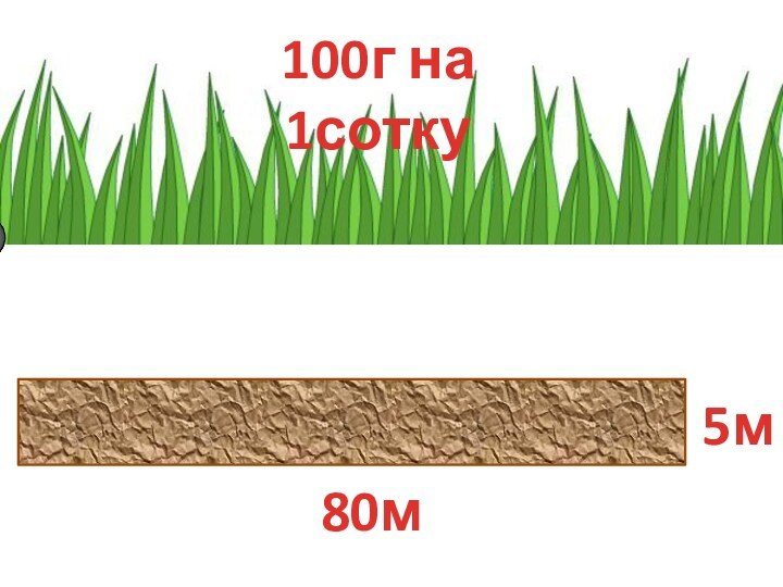 100г на 1сотку80м5м