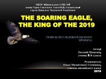 Проект по теме The Soaring Eagle, the King of the 2019