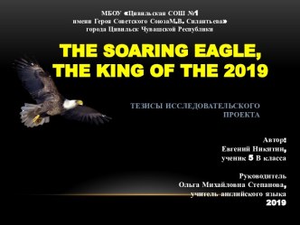 Проект по теме The Soaring Eagle, the King of the 2019