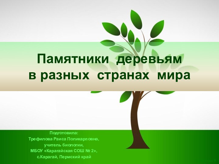 Памятники деревьям  в разных странах мираПодготовила:Трефилова Раиса Поликарповна,учитель биологии,МБОУ «Карагайская СОШ № 2»,с.Карагай, Пермский край