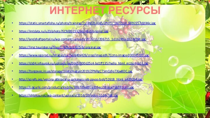 ИНТЕРНЕТ РЕСУРСЫ https://static.smartafisha.ru/photo/training/21/46/214665/photo_1677114_5892217d1f46c.jpg https://mtdata.ru/u23/photo7EC9/20233266148-0/original.jpg http://landshaftportal.ru/wp-content/uploads/2016/11/206715_1d16249a-1024x768.jpg https://img.tourister.ru/files/1/4/9/2/1/0/5/6/original.jpg https://www.ogorod.ru/images/cache/640x426/crop/images%7Ccms-image-000045189.jpg https://ds04.infourok.ru/uploads/ex/0665/000d25c4-bd1ff135/hello_html_m16c44a74.jpg https://torgovec.in.ua/storage/posts/August2019/ZPNRgCTSmCy9oTXjw8DC.jpg http://azrefs.org/veicina-atkrpoanu-sarkanais-jeb-pavas-boli/52618_html_a4292b4.jpg https://i.ogurki.com/products/middle/69b7dbe893a205ecc186cacf6b59bb83.jpg https://shlakov.net/wp-content/uploads/2016/10/polin-1024x768.jpg  