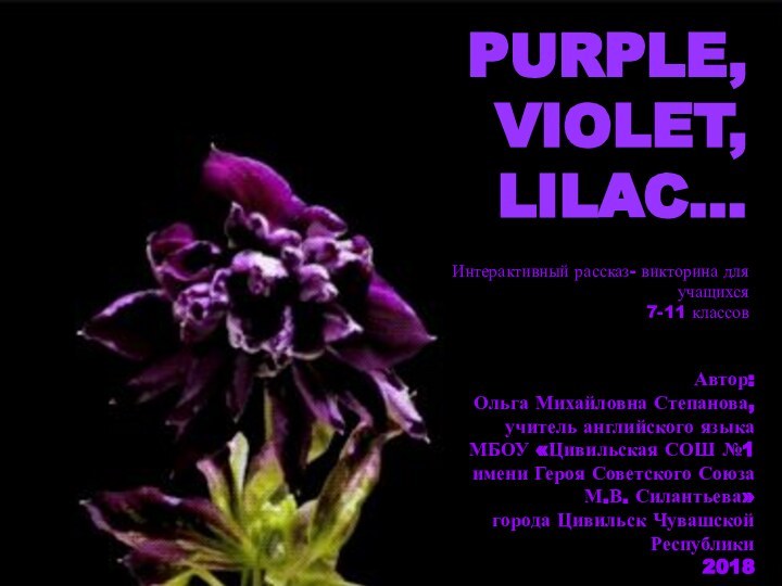 Purple, violet, lilac…Автор:Ольга Михайловна Степанова,