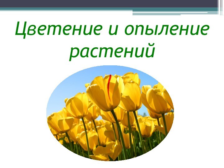 Цветение и опыление растений