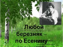 Любой березняк по Есенину звонница (биография С.А.Есенина)