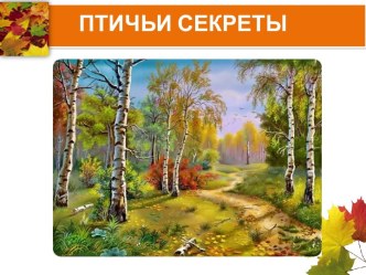 Зимующие птицы. Птичьи секреты